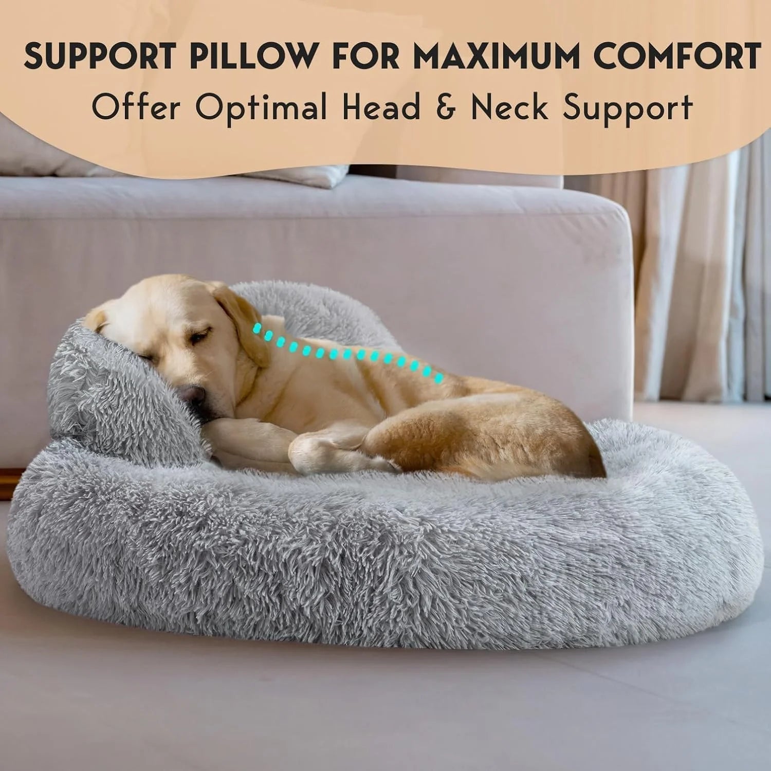 Pet Beds