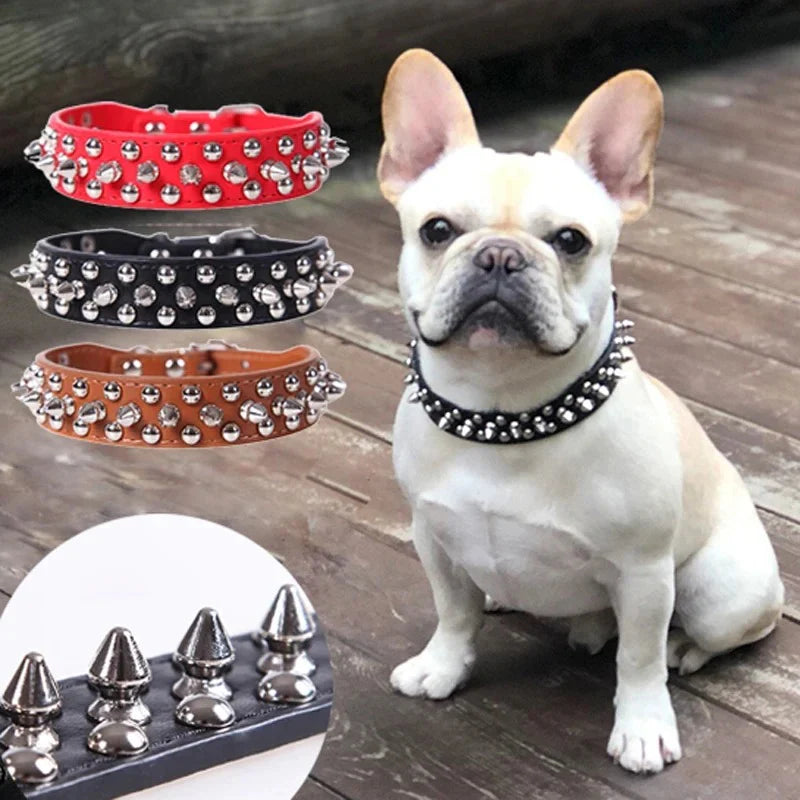 Pet Accessories